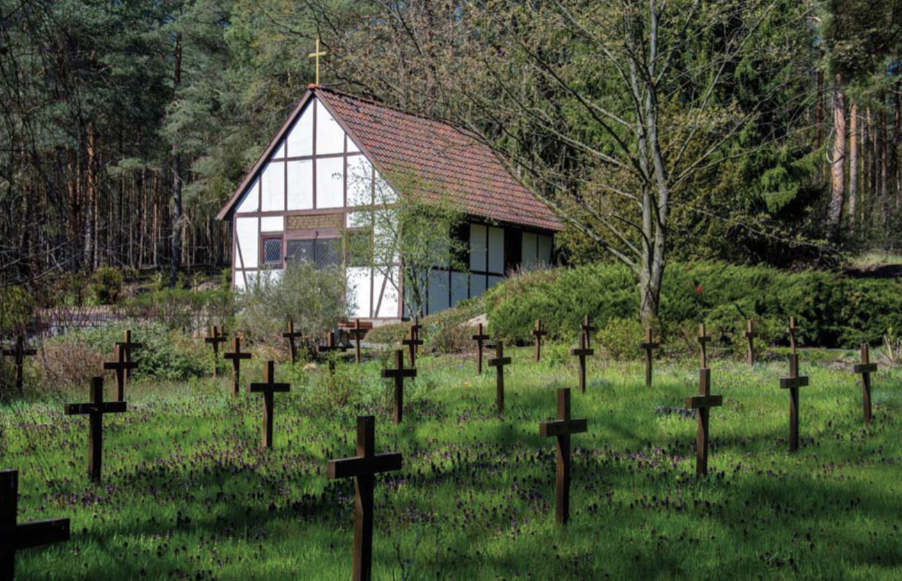 876881E7-64E8-48B2-98C5-BD46AB60FEA6 876881E7-64E8-48B2-98C5-BD46AB60FEA6