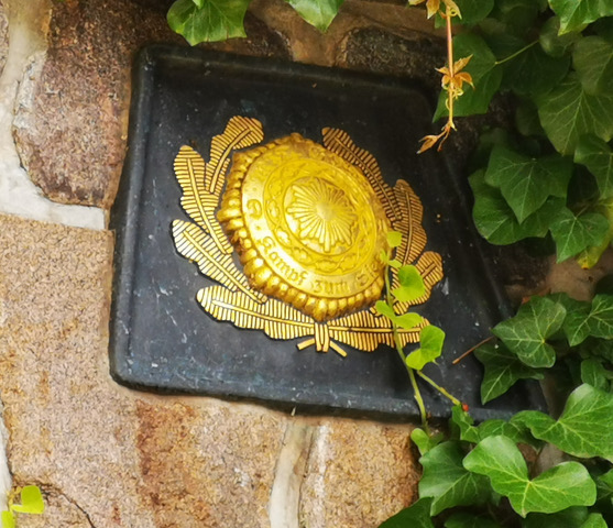 IMG_20210731_115631 IMG_20210731_115631